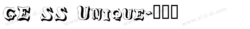 GE SS Unique字体转换